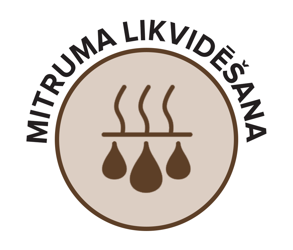 Mitruma Likvidēšana, Mīksto Mēbeļu Tīrīšana